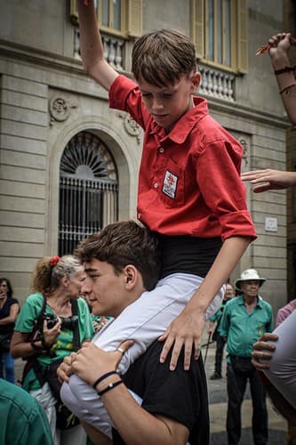 DSC_0247