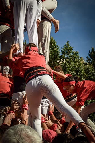 DSC_0099